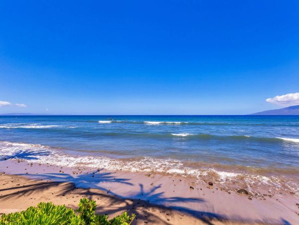 Oceanfront Maui Vacation Rental - Lahaina Condo Rental with Lanai & Pool