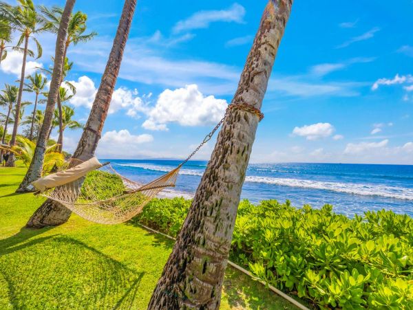 Oceanfront Maui Vacation Rental - Lahaina Condo Rental with Lanai & Pool