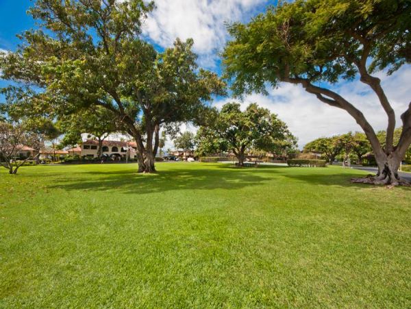 Oceanfront Maui Vacation Rental - Lahaina Condo Rental with Lanai & Pool