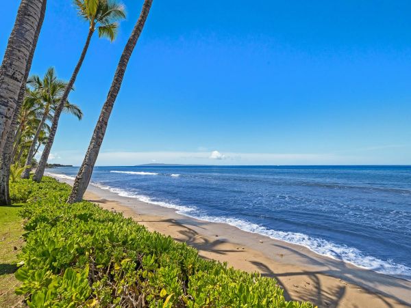 Charming Lahaina Oceanfront Vacation Town Home