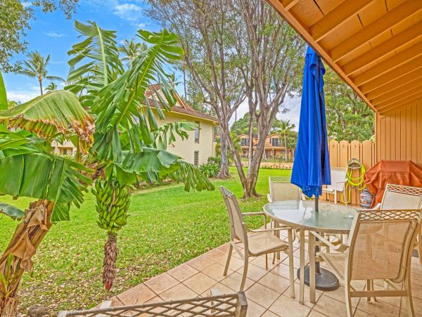 Beautiful Garden view, beachfront property
