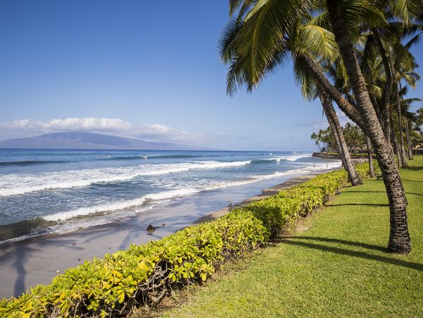 Beautiful Garden view, beachfront property