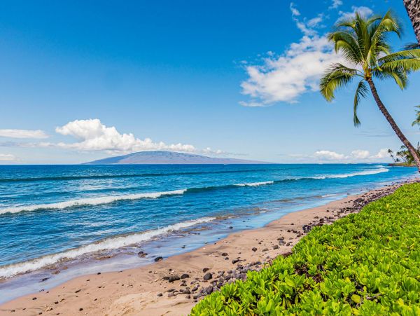 Stunning Lahaina Vacation Rental Sleeps 4 Guests