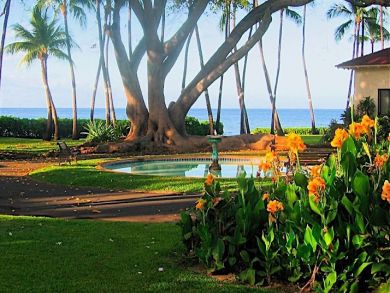 Beautiful tropical landscapes Beautiful tropical landscapes