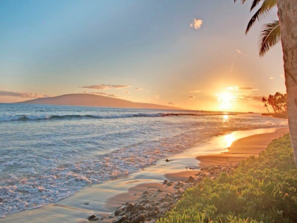 One bedroom ocean front townhome with spectacular view
