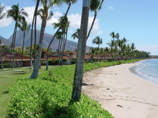 One bedroom ocean front townhome with spectacular view