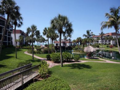 Grounds