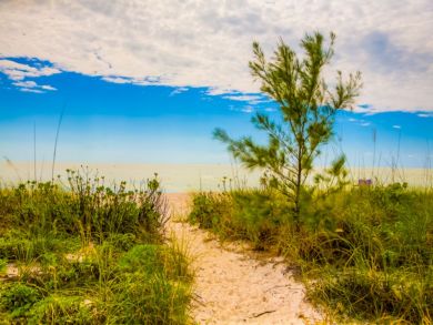 Beach path