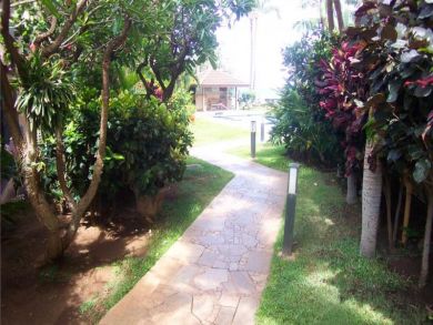 Tropical vegetation on walking paths