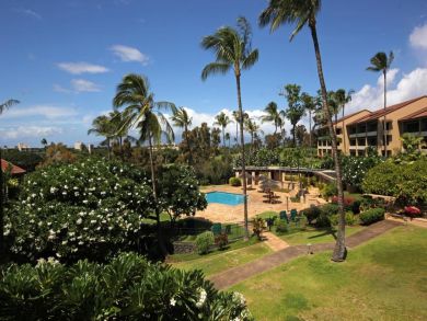 Pool view Pool view