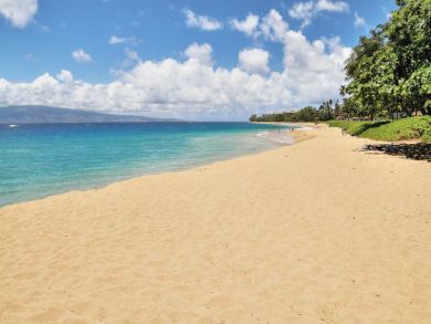 Sandy beach