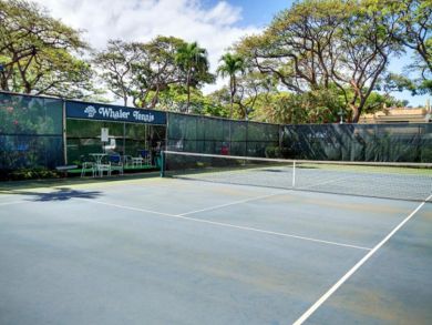 Tennis courts