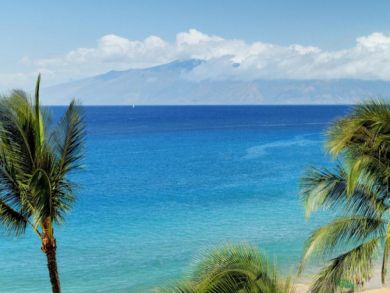 Ocean view