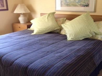 Master bedroom with king bed Master bedroom with king bed