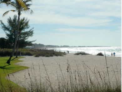 Sandy beach Sandy beach