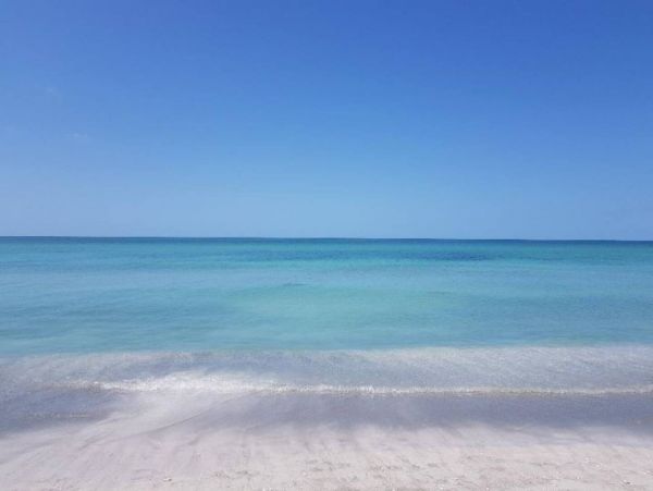 Longboat Key Vacation Rental One Bedroom on Beach