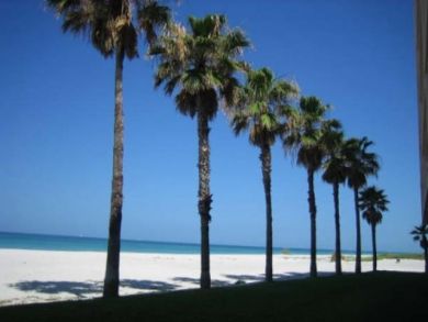Longboat Key Vacation Rental Garden Views