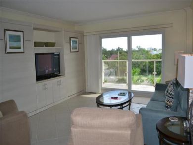 Flat Screen TV in Living Room
