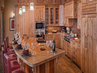 Kitchen with professional appliances