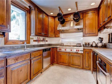 Ski in Vacation Mountain Home in Alta - Indoor Hot Tub -Sleeps 18