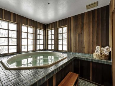 Snowbird Three Bedroom Vacation Rental Sleeps Eight Guests