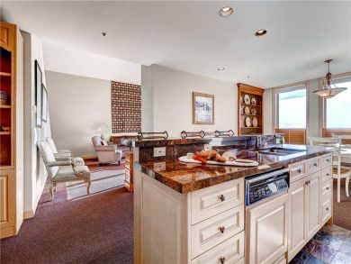 Alta Condo 884370