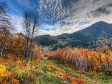 Mountain view