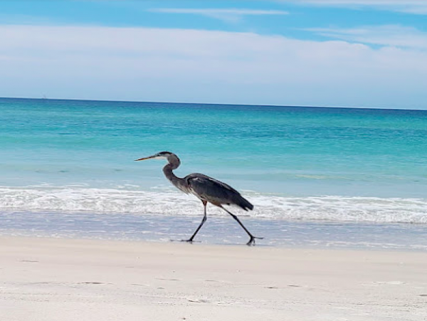 Longboat Key Vacation Rental with a Loft Sleeps Six Guests!