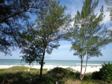 One Bedroom Beach Condo Anna Maria Communal Pool