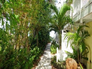 Tropical vegetation on walking paths