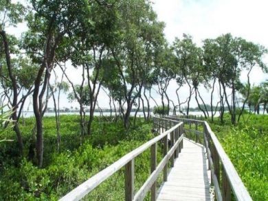 Beach access