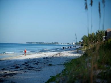 View of the gulf