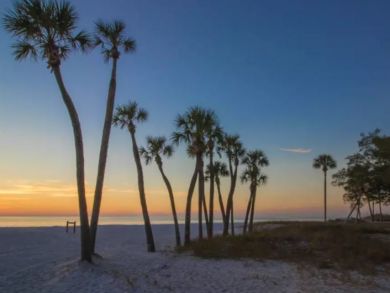 Beautiful sunset views