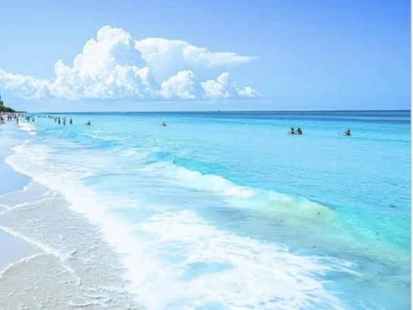 Four Bedroom Beach House Rental Anna Maria Island Pool & Spa Rare Beach House With Pool!!
