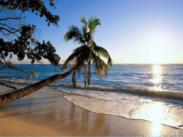 Lovely Condo with 1 Bedroom Short Walk to Beach