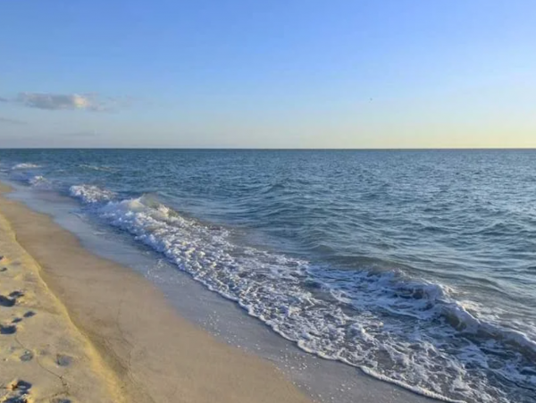 Lovely Condo with 1 Bedroom Short Walk to Beach