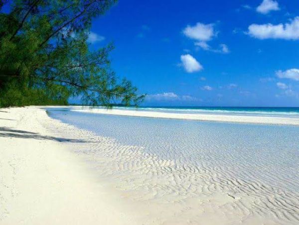 Two Bedroom Charming Coastal Vacation Rental in Bradenton Beach