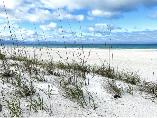 Luxury Anna Maria Vacation Home Sleeps 8 Private Pool
