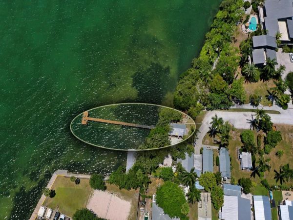 Waslk to The beach from this Updated One Bedroom Rental