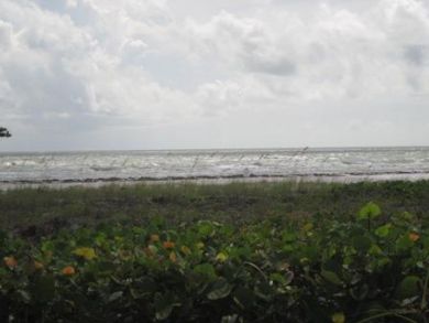 Beach view