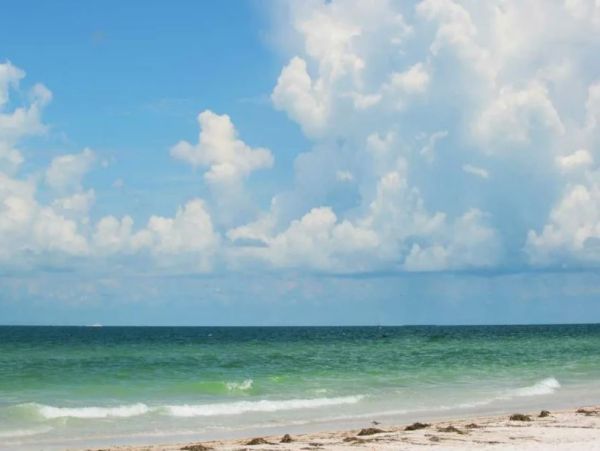 Anna Maria Island Beach Rental Gulf-Front Vacation Condo