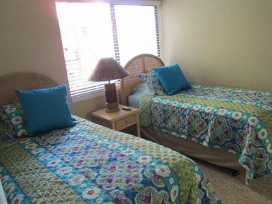 Guest Bedroom with Twin Beds