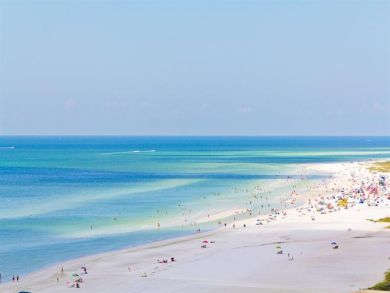 Siesta Key Condo 885077