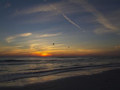 Siesta Key Condo 885078