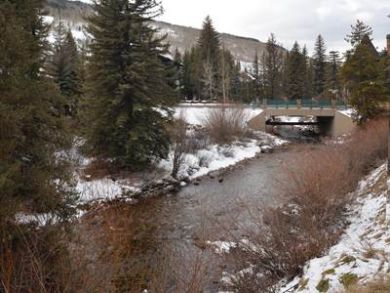 Creek View