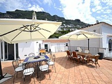 Outdoor Dining Area Outdoor Dining Area