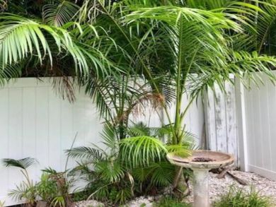 Holmes Beach One Bedroom Vacation Rental