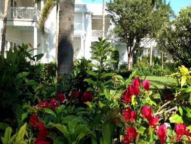 Tropical Gardens Tropical Gardens