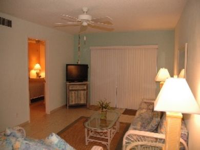 Flat Screen TV in Living Room