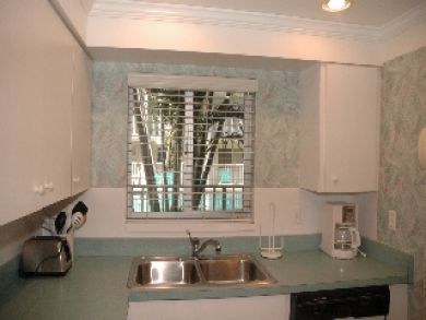 View from Kitchen